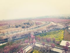 -古柏渡飞黄旅游区