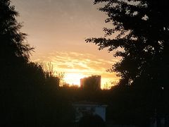 -东北大学(秦皇岛分校)