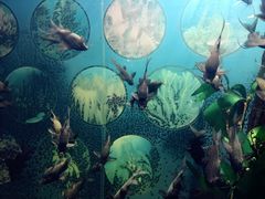 -福州罗源湾海洋世界旅游区