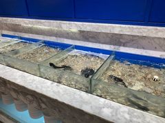 -火锅岛潮牌自助餐厅(天津天佑城店)