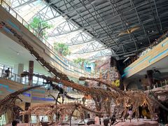 -安徽省地质博物馆