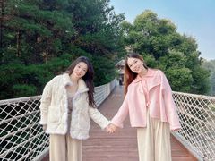 -铁山坪森林公园