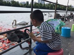 -艾溪湖湿地公园