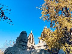 -北京石刻艺术博物馆(五塔寺)