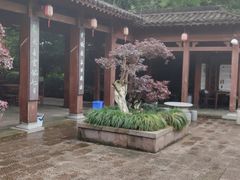 -杭州半山国家森林公园