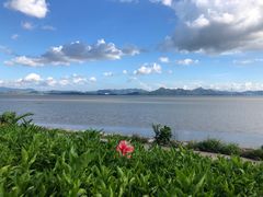 -深圳湾公园(南山区)