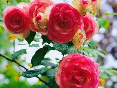 -上海交通大学(闵行校区)