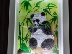 -贝壳王国博物馆