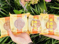 -新雅粤菜馆(南京东路店)