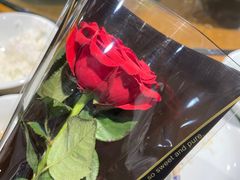-八大碗·地道东北菜(白塔堡店)