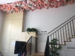 -麗宫轻医美·问题肌肤管理中心