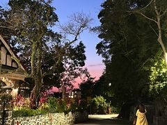 -太平山顶