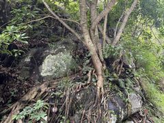 -大理苍山石门关旅游度假区