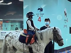 -骑乐马术(广州奥体优托邦中心)