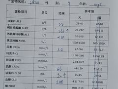 -宠颐生贝利健动物医院(谢家湾分院)