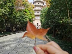 -灵谷景区