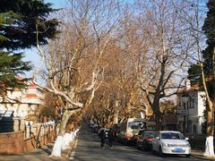 -八大关景区
