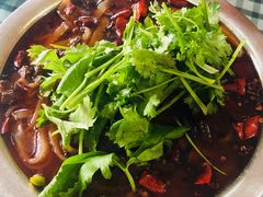 醉牛肉-无味饭店(九眼桥商业文化广场店)