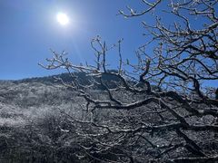 -黄山排云型旅酒店餐厅
