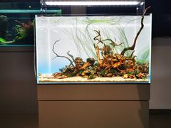 -ADA自然水景世界