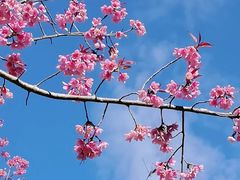 -Torch Coffee 炬点咖啡