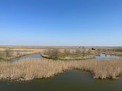 -盐城丹顶鹤湿地生态旅游区