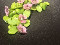 春华秋实-王府茶宴(大观园总店)