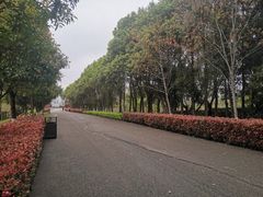 -洋湖国家湿地公园