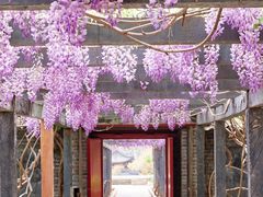 -红螺寺