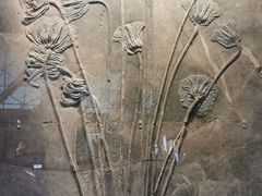 -湖南省地质博物馆