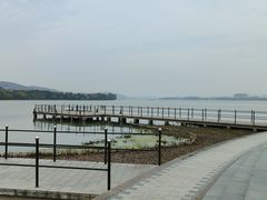 -长广溪湿地公园