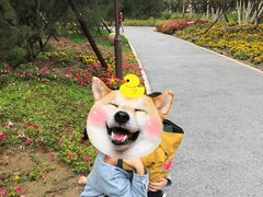 -回龙观体育文化公园