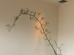 -小茶闲舍·观景商务茶馆(广州塔店)