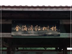 -北海金海湾红树林生态旅游区