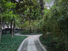 -桤木河湿地公园