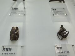 -萍姨抻面馆·鸡架冒菜(清湖店)