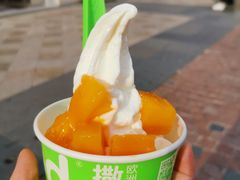 -Salud撒露欧洲冻酸奶(蓝色港湾店)