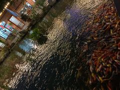 -大门水乡·顺德菜