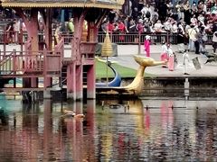 -西双版纳原始森林公园