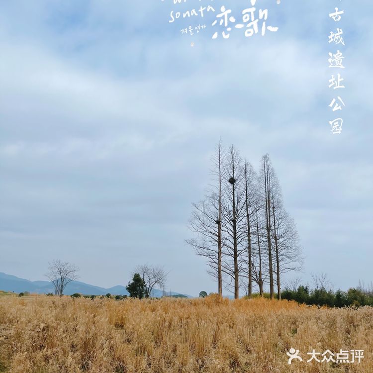 杭州小奈良 | 良渚古城遗址公园