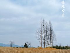 -良渚古城遗址公园