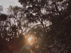 -深圳仙湖植物园-停车场