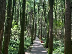 -同里国家湿地公园