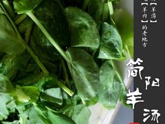 -四川简阳羊肉汤火锅(金台路店)