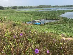 -沙美村