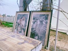 -安德鲁户外烧烤帐篷营地(马泉营店)