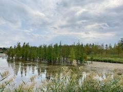 -白鹭湾湿地公园