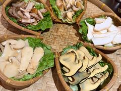 -滇野云南野生菌餐厅(陕西南路店)