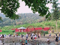 -广州市石门国家森林公园