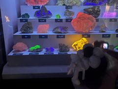 -湖南省地质博物馆